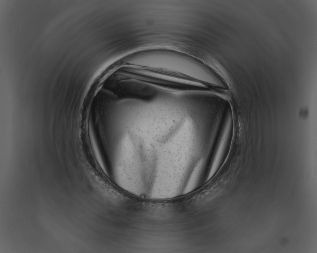 X0000093261020200710171444