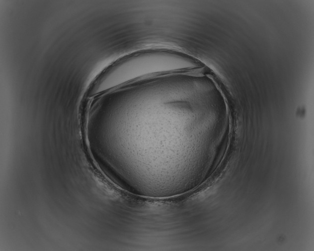 X0000093261022200710171444