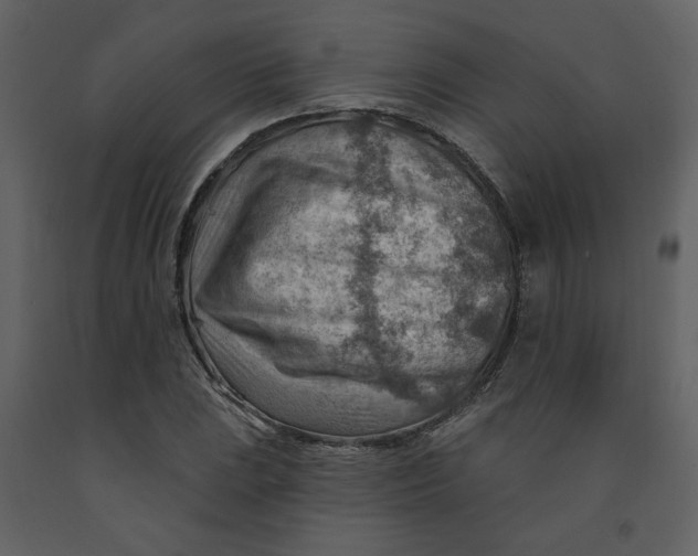 X0000093261023200710171444