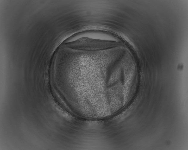 X0000093261025200710171444