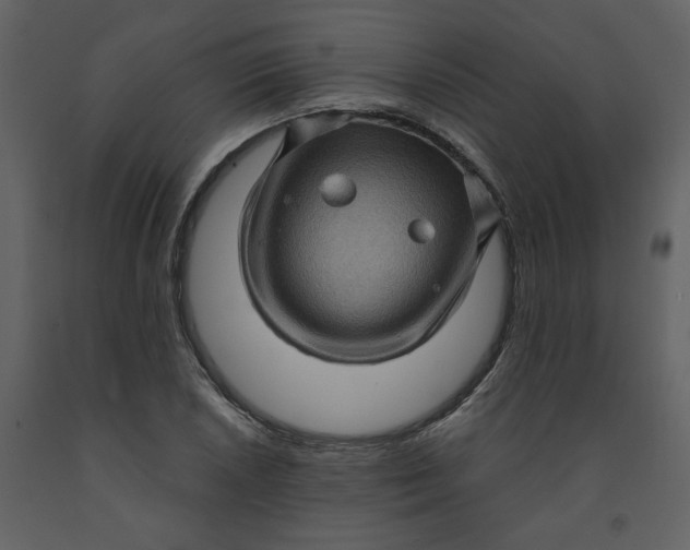 X0000093261026200710171444