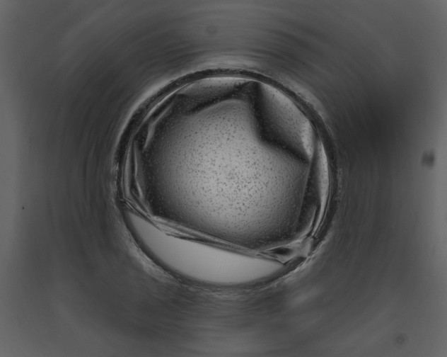 X0000093261029200710171444