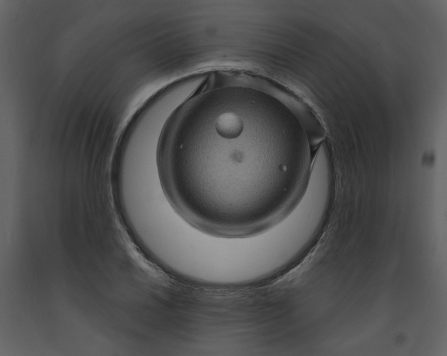 X0000093261030200710171444