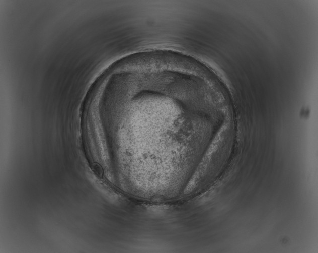 X0000093261031200710171444