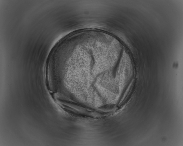 X0000093261032200710171444