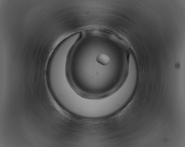 X0000093261034200710171444