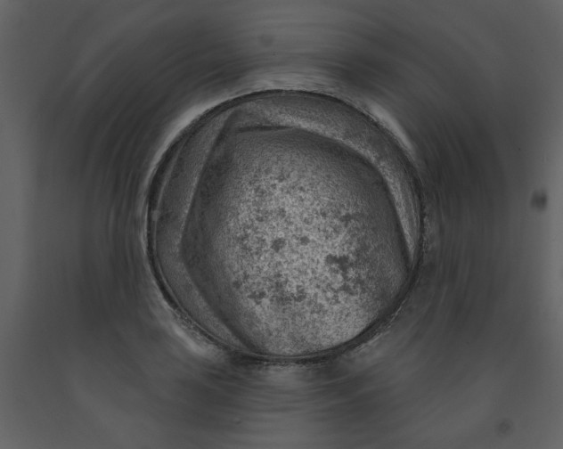 X0000093261035200710171444