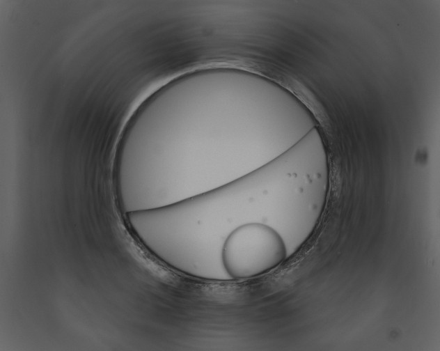 X0000093261036200710171444