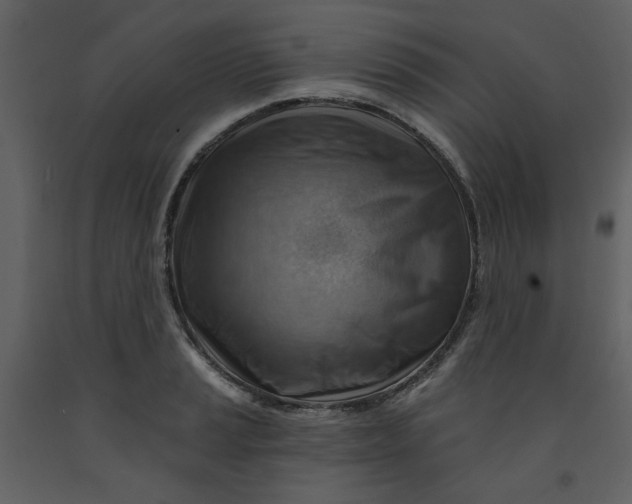 X0000093261037200710171444