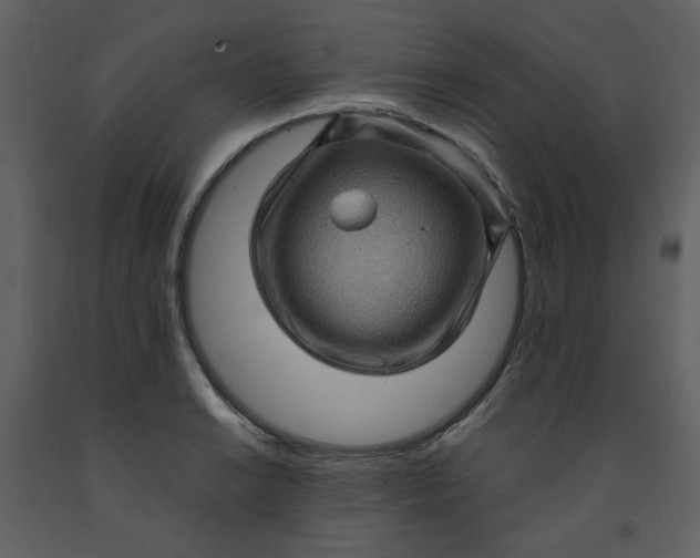 X0000093261038200710171444