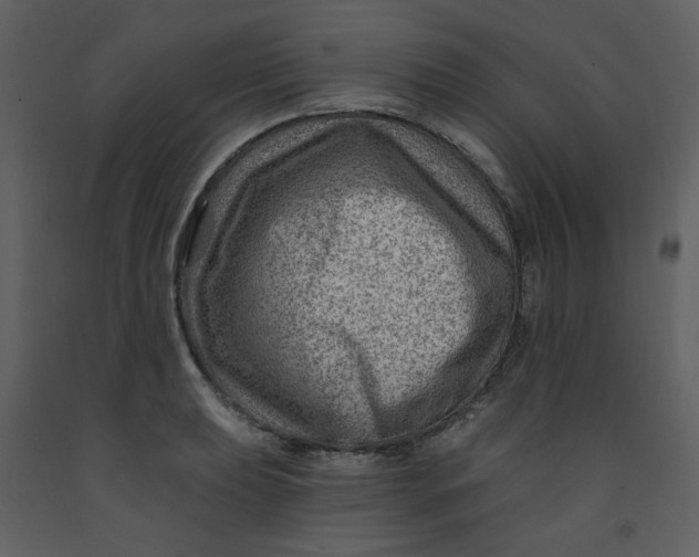 X0000093261039200710171444