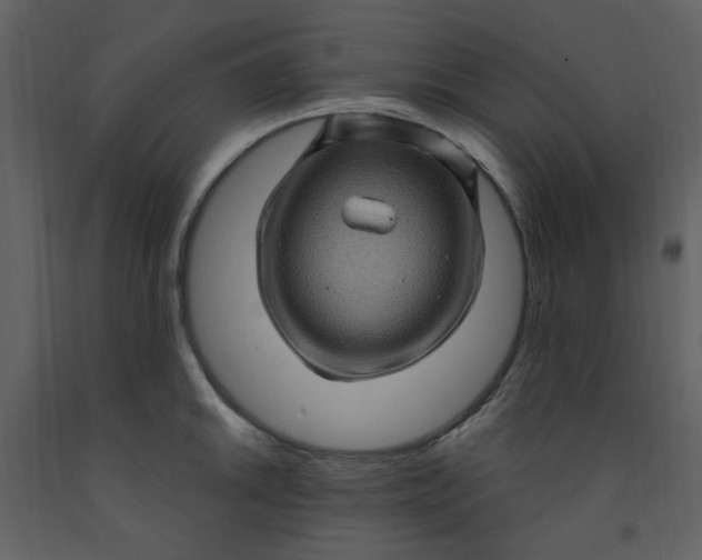 X0000093261046200710171444