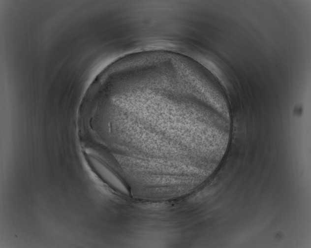 X0000093261047200710171444