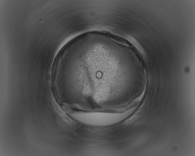 X0000093261052200710171444