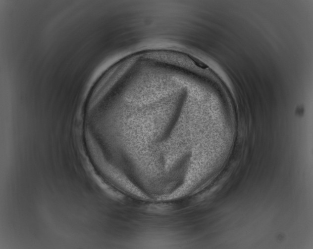 X0000093261053200710171444