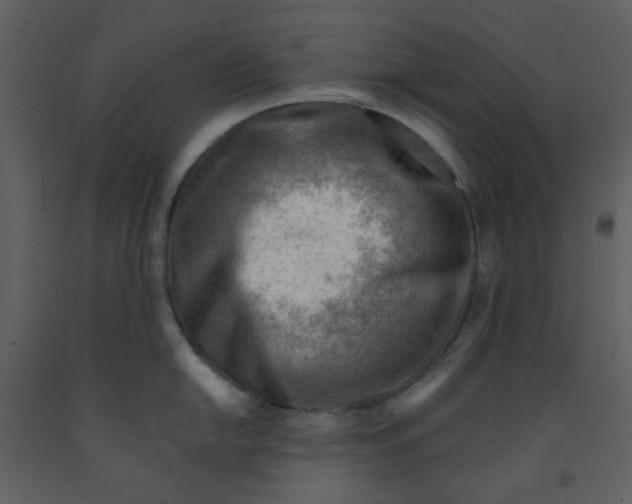 X0000093261054200710171444