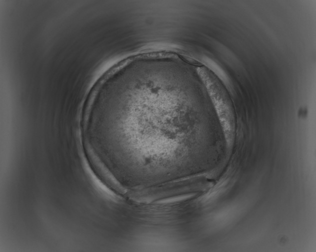 X0000093261055200710171444