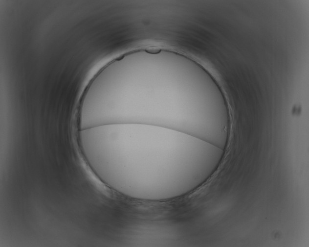 X0000093261056200710171444