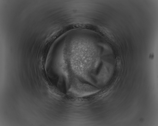 X0000093261060200710171443