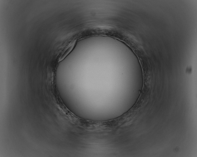 X0000093261061200710171443