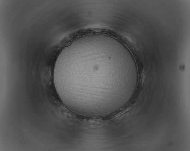 X0000093261062200710171443