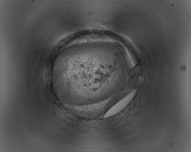 X0000093261063200710171443