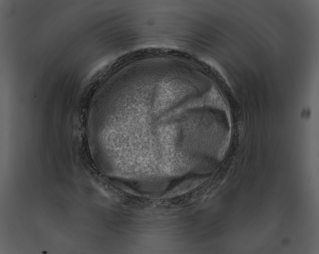 X0000093261064200710171443