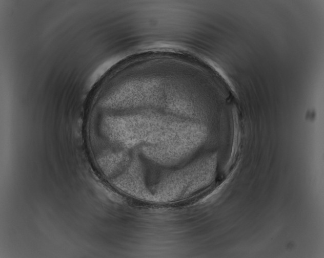 X0000093261066200710171443