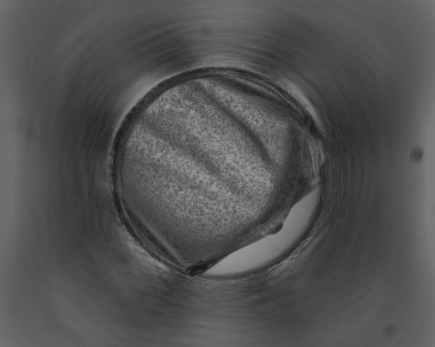 X0000093261068200710171443