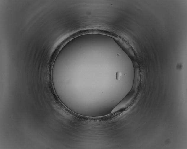 X0000093261069200710171443