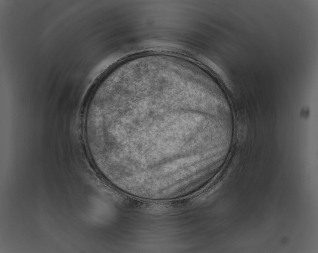 X0000093261074200710171443