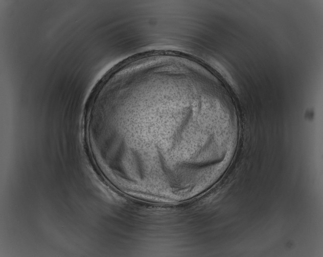 X0000093261076200710171443