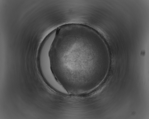 X0000093261077200710171443