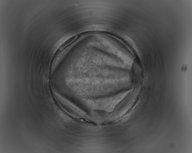 X0000093261081200710171443