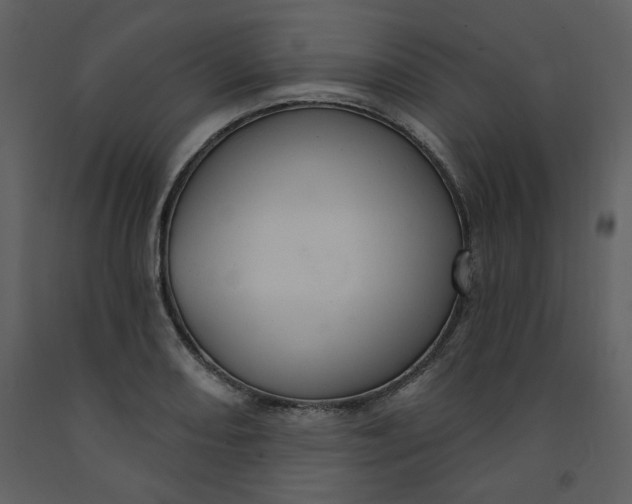 X0000093261082200710171443