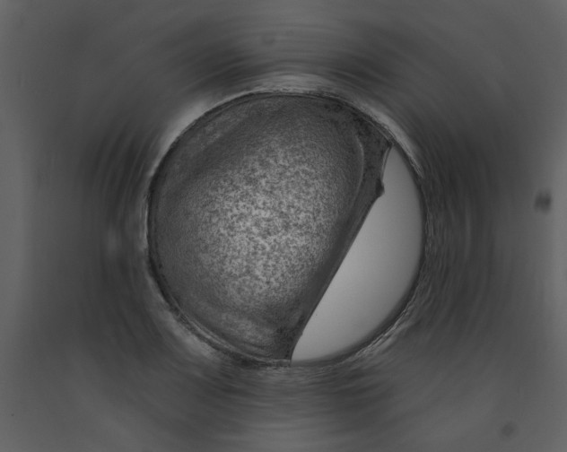 X0000093261083200710171443