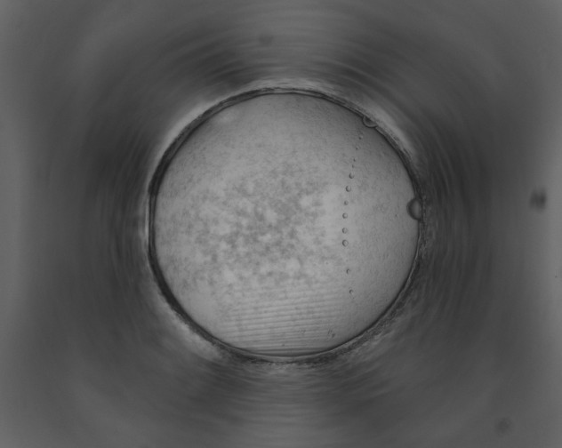 X0000093261084200710171443