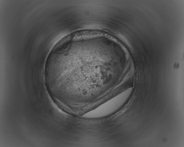 X0000093261087200710171443