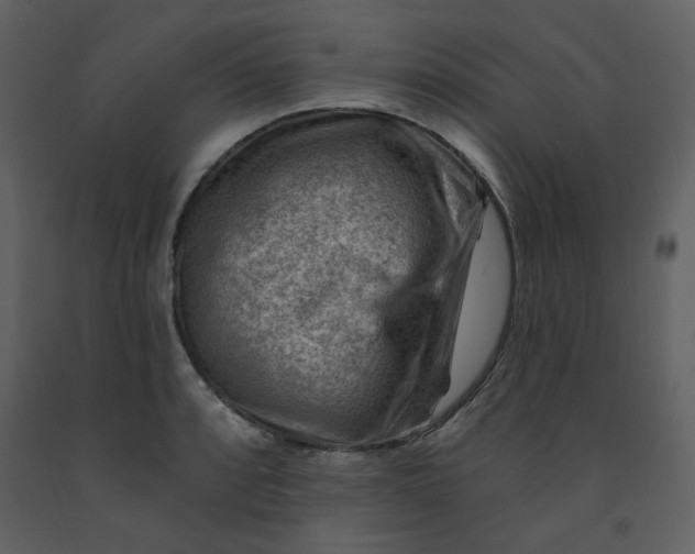 X0000093261088200710171443