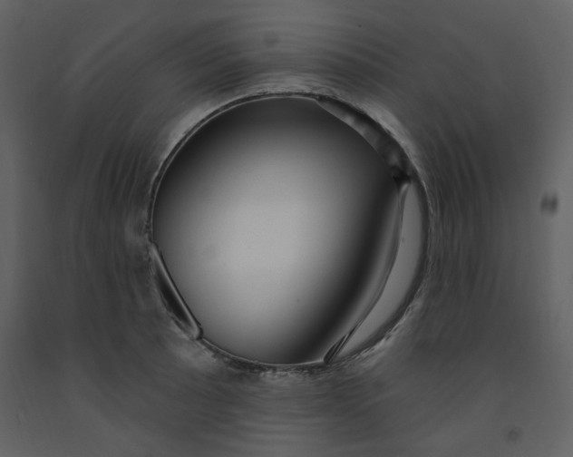 X0000093261089200710171443