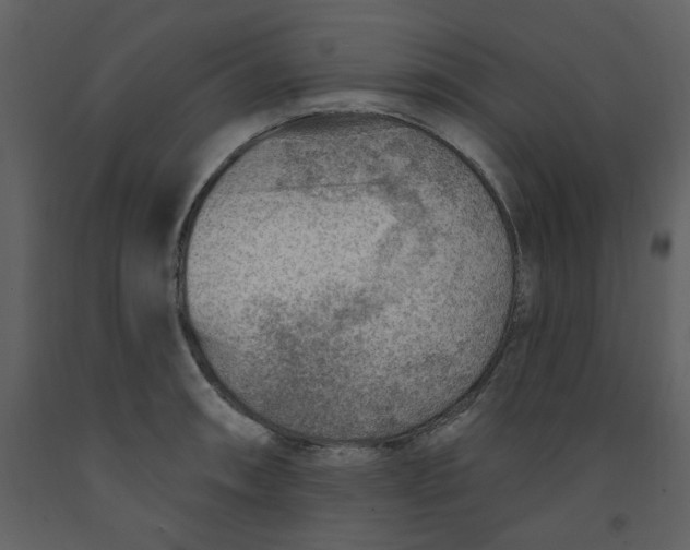 X0000093261090200710171443