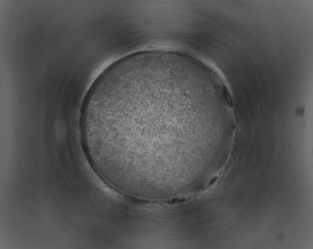 X0000093261091200710171443