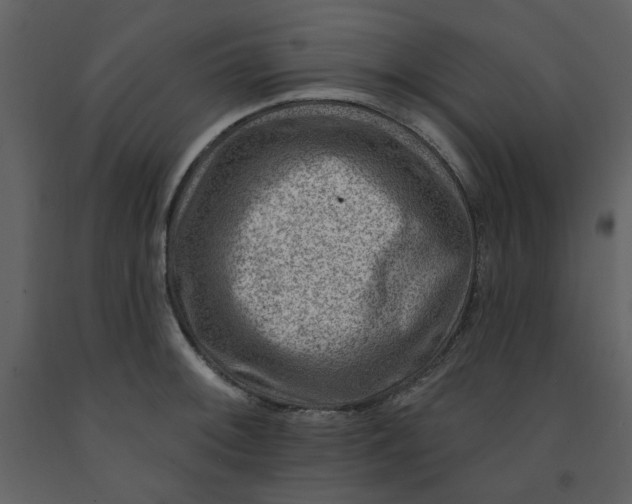 X0000093261092200710171443