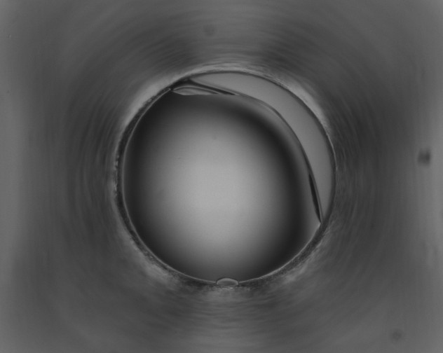 X0000093261093200710171443