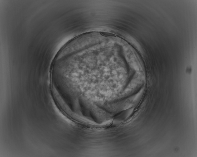 X0000093261095200710171443