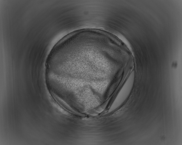 X0000093261096200710171443