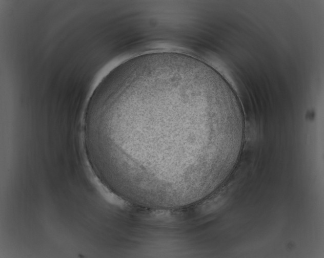 X0000093261098200710171443