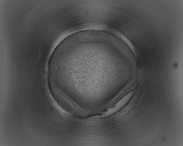 X0000093261099200710171443