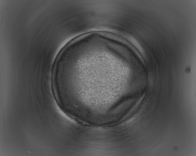 X0000093261100200710171443