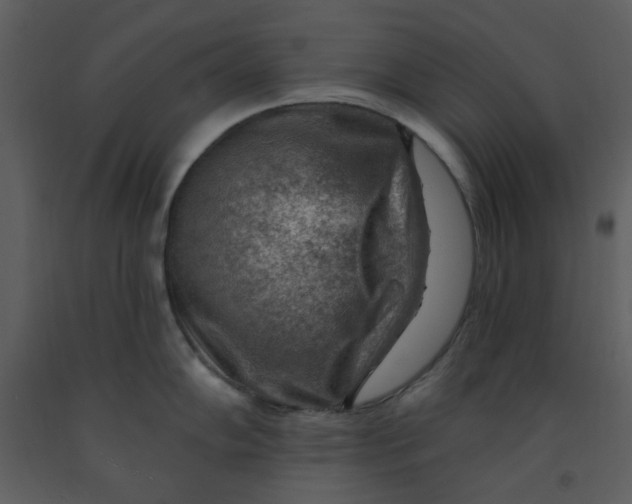 X0000093261102200710171443